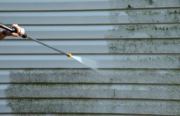 Best Sidewalk and Walkway Pressure Cleaning in Kapn, LA